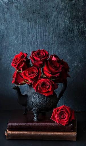 Red Rose Wallpapers - Image screenshot of android app