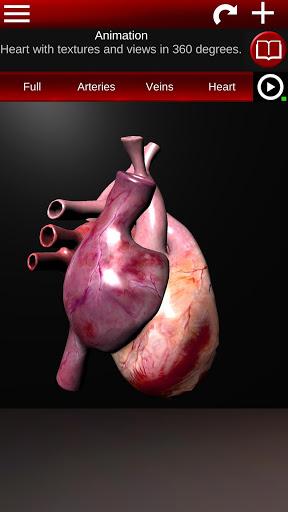 Circulatory System 3D Anatomy - Image screenshot of android app