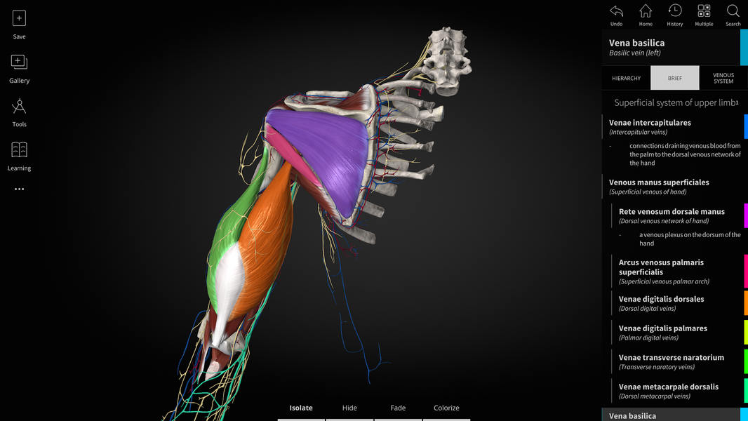 Anatomyka - 3D Anatomy Atlas - Image screenshot of android app