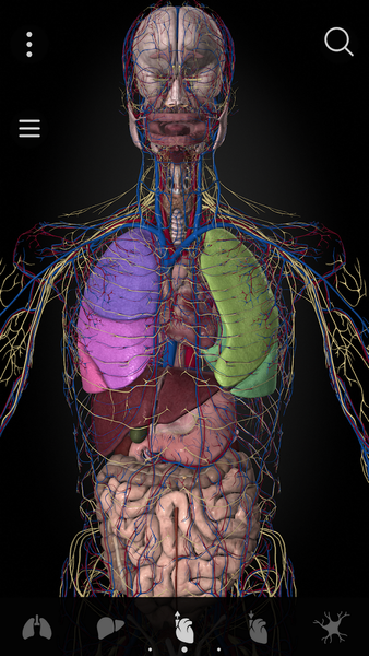 Anatomyka - 3D Anatomy Atlas - Image screenshot of android app