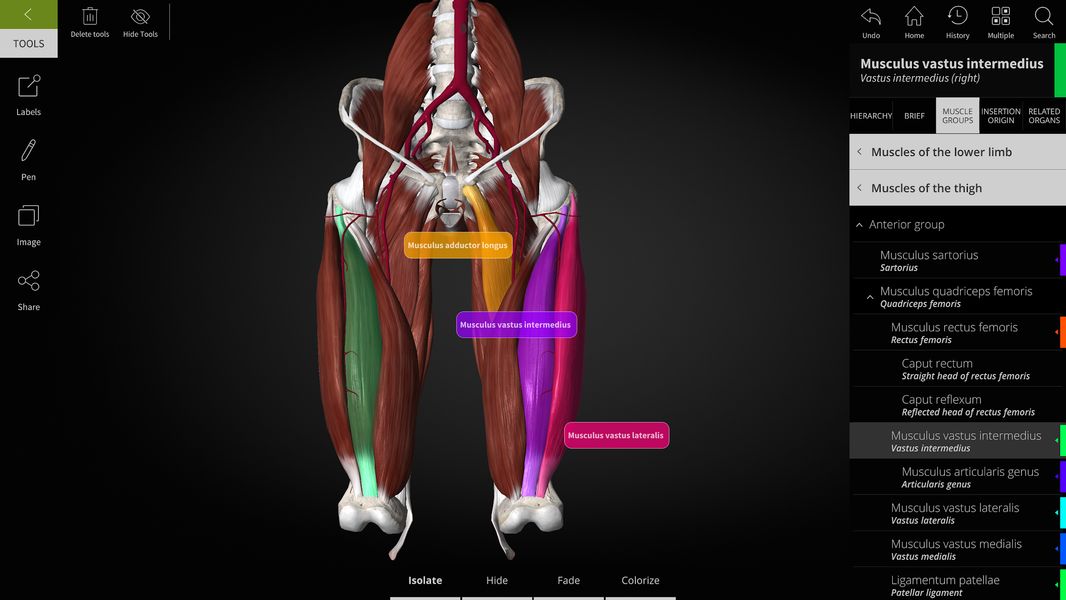 Anatomyka - 3D Anatomy Atlas - Image screenshot of android app