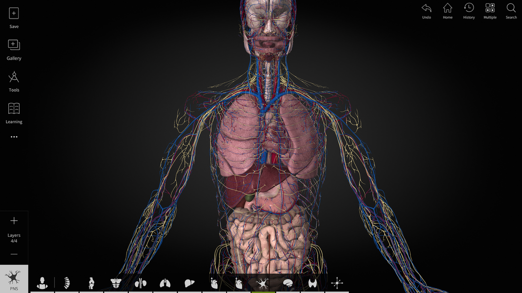Anatomyka - 3D Anatomy Atlas - Image screenshot of android app