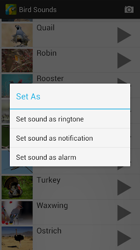 Bird Sounds - Image screenshot of android app