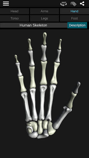 Osseous System in 3D (Anatomy) - Image screenshot of android app