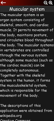 Muscular System ۳D (anatomy) - عکس برنامه موبایلی اندروید