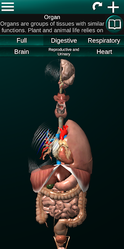 Internal Organs in 3D Anatomy - Image screenshot of android app