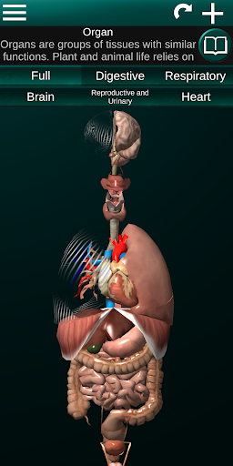 Internal Organs in 3D Anatomy - عکس برنامه موبایلی اندروید