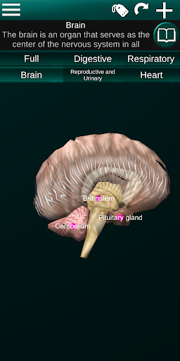 Internal Organs in ۳D Anatomy - عکس برنامه موبایلی اندروید