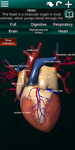 Internal Organs in 3D Anatomy - عکس برنامه موبایلی اندروید
