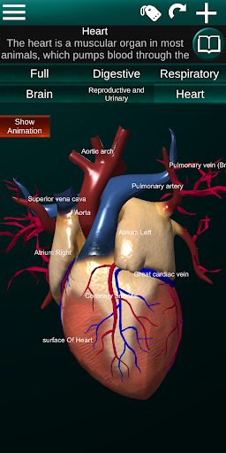 Internal Organs in 3D Anatomy - Image screenshot of android app