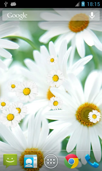 Daisy Flower Live Wallpaper - عکس برنامه موبایلی اندروید