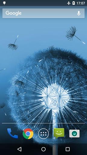 Dandelion Live Wallpaper - Image screenshot of android app