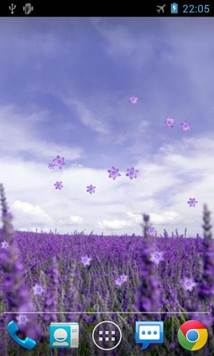 Lavender Live Wallpaper - Image screenshot of android app