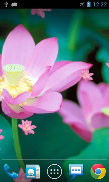 Lotus Live Wallpaper - Image screenshot of android app