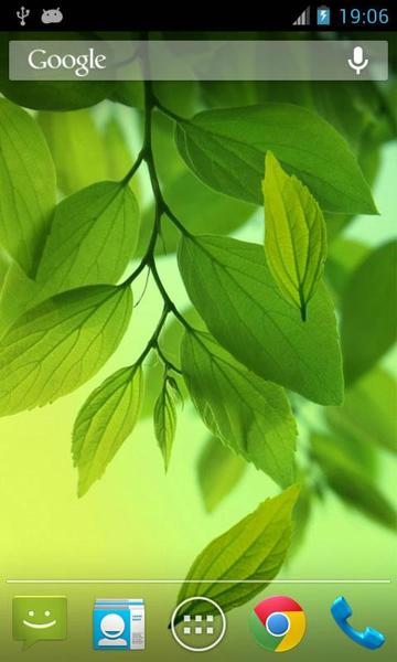 Leaf Live Wallpaper - Image screenshot of android app