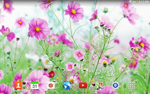 Sweet Flowers Live Wallpaper - عکس برنامه موبایلی اندروید