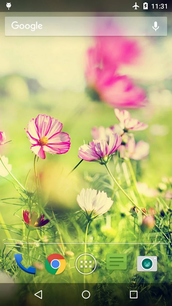 Wallpapers Flower - عکس برنامه موبایلی اندروید