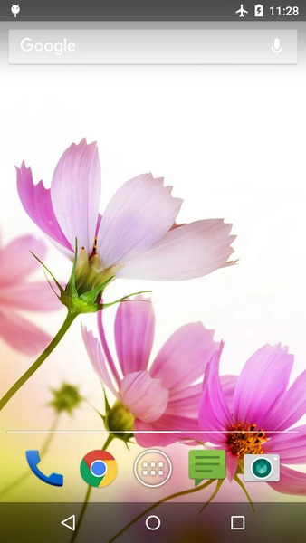 Wallpapers Flower - Image screenshot of android app