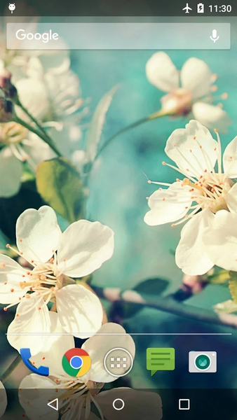 Wallpapers Flower - عکس برنامه موبایلی اندروید