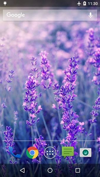 Wallpapers Flower - عکس برنامه موبایلی اندروید
