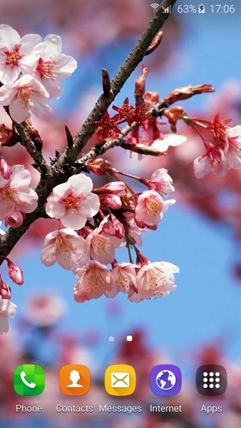 Wallpapers Sakura - عکس برنامه موبایلی اندروید