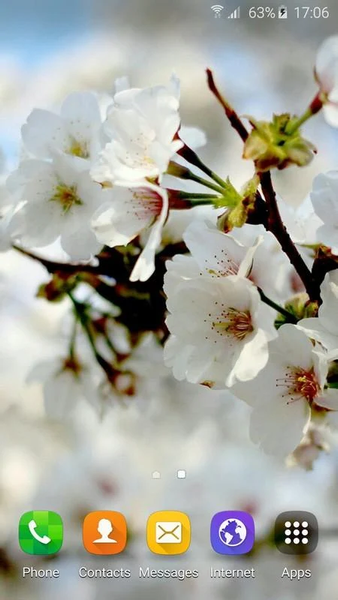 Wallpapers Sakura - عکس برنامه موبایلی اندروید