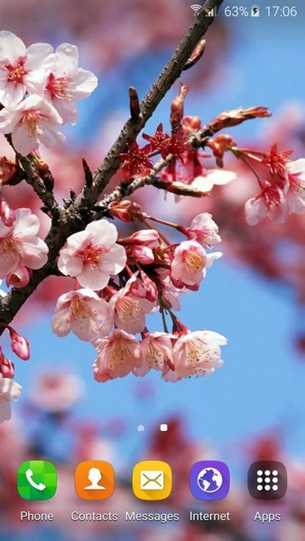 Wallpapers Sakura - عکس برنامه موبایلی اندروید