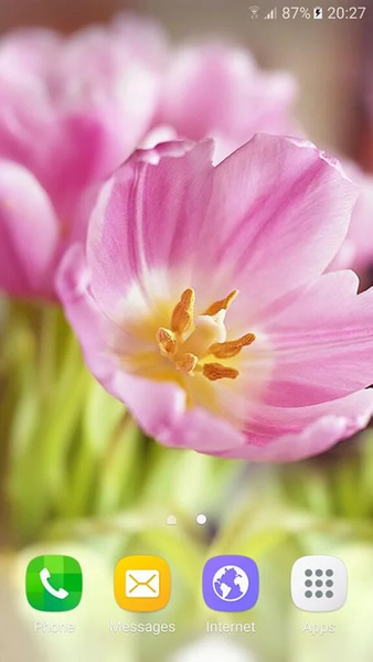 Wallpapers Spring - عکس برنامه موبایلی اندروید