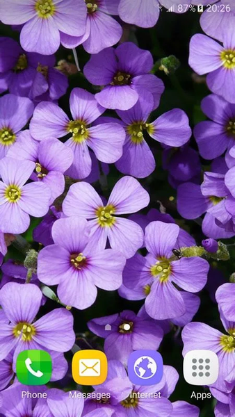 Wallpapers Spring - عکس برنامه موبایلی اندروید