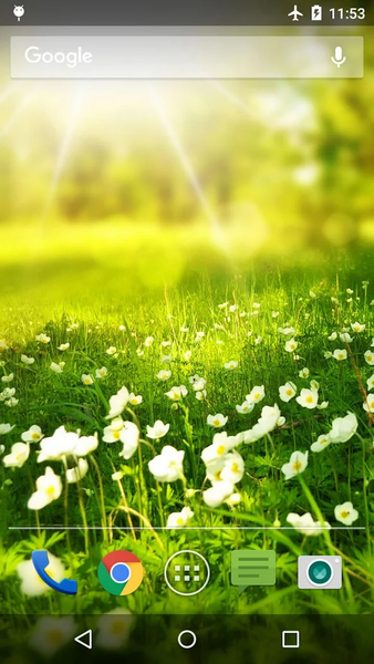 Wallpapers Summer - عکس برنامه موبایلی اندروید