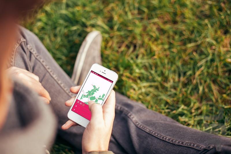 offline_map - Image screenshot of android app