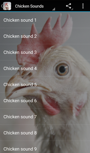 Chicken Sounds - عکس برنامه موبایلی اندروید