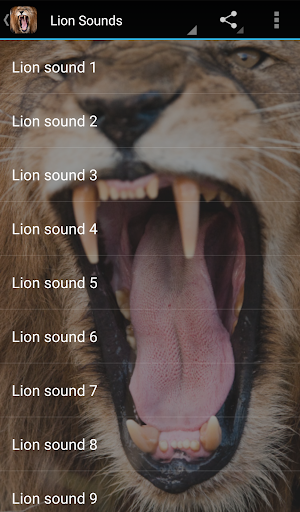 Lion Sounds - Image screenshot of android app