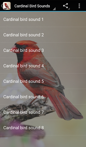 Cardinal Bird Sounds - عکس برنامه موبایلی اندروید