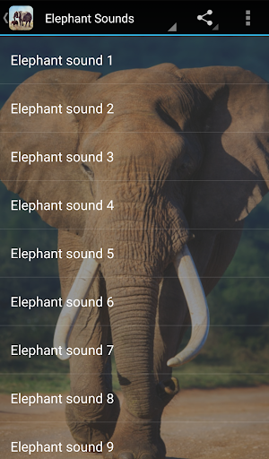 Elephant Sounds - عکس برنامه موبایلی اندروید