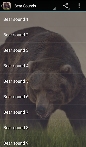 Bear Sounds - عکس برنامه موبایلی اندروید