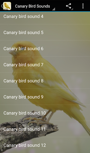 Canary Bird Sounds - عکس برنامه موبایلی اندروید