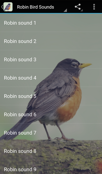 Robin Bird Sounds - Image screenshot of android app