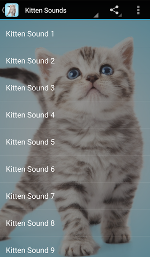 Kitten Sounds - Image screenshot of android app