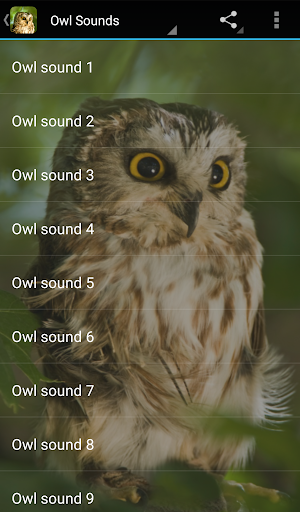 Owl Sounds - Image screenshot of android app
