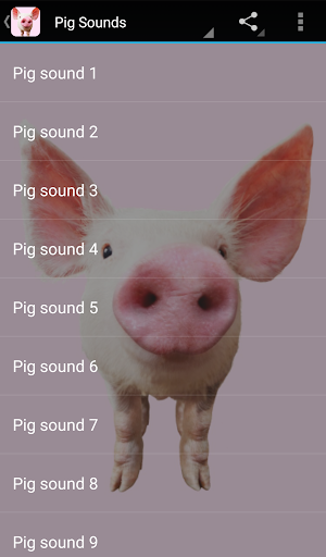 Pig Sounds - Image screenshot of android app