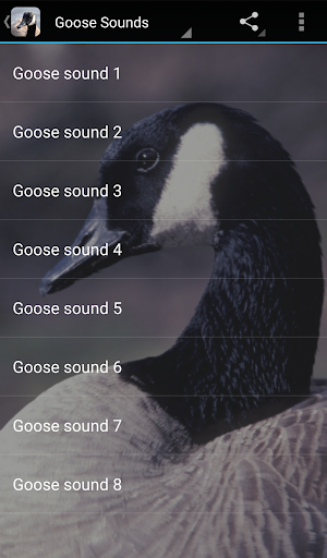 Goose Sounds - Image screenshot of android app