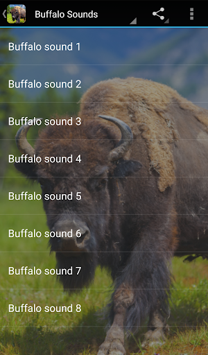 Buffalo Sounds - Image screenshot of android app