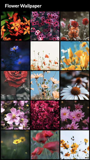 Flower Wallpapers - Image screenshot of android app