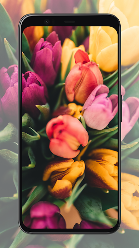 Flower Wallpapers - Image screenshot of android app