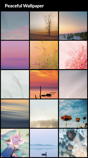 Peaceful Wallpapers - Image screenshot of android app