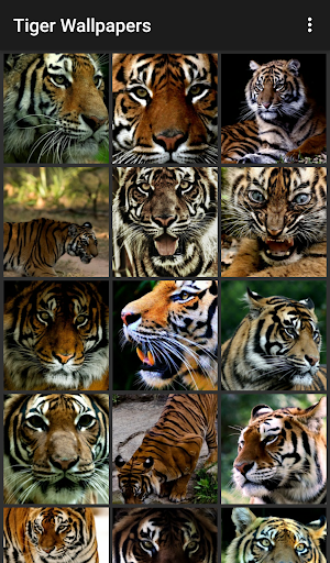 Tiger Wallpapers - عکس برنامه موبایلی اندروید