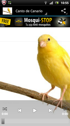 canary - Image screenshot of android app