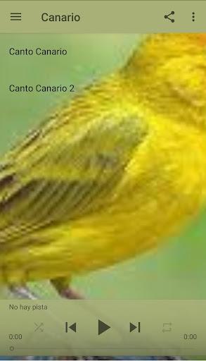 canary - عکس برنامه موبایلی اندروید