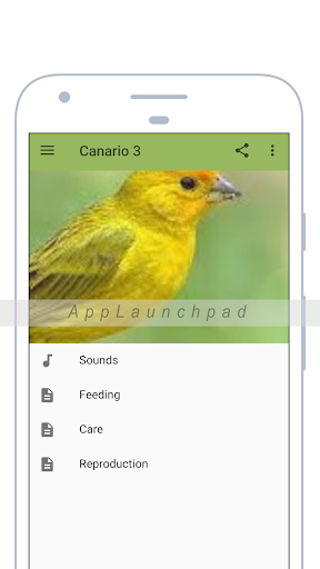 Canary - عکس برنامه موبایلی اندروید